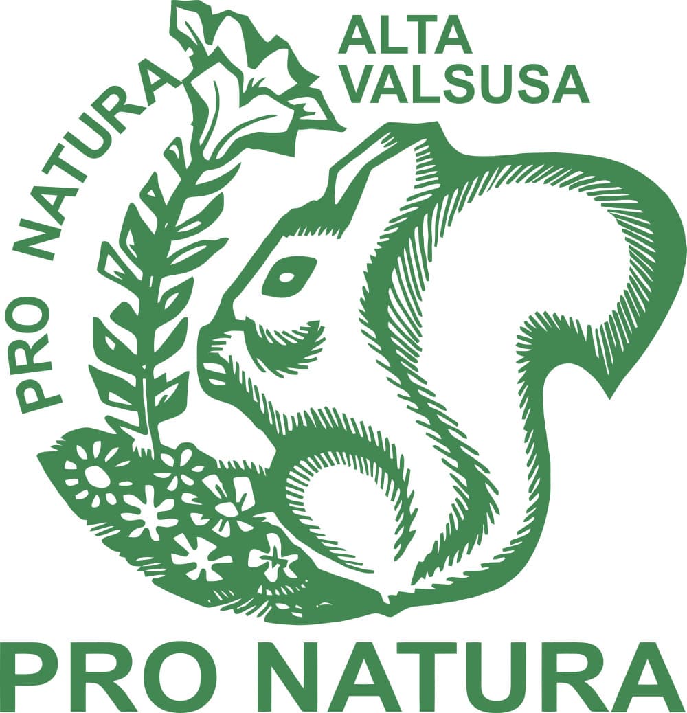 Immagine di copertina per il post