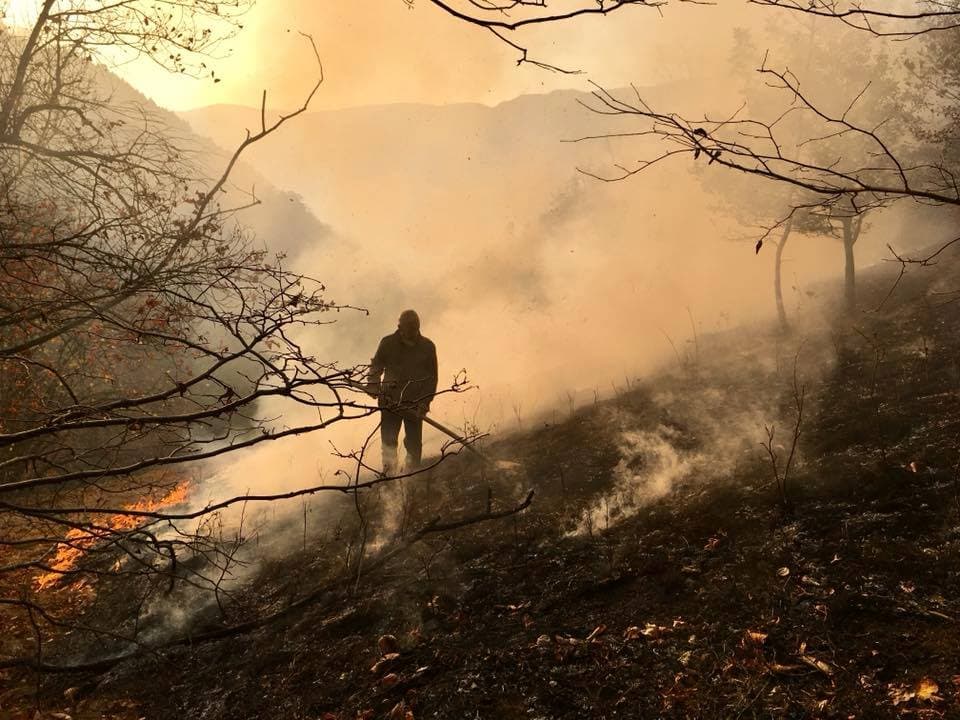 Immagine di copertina per il post