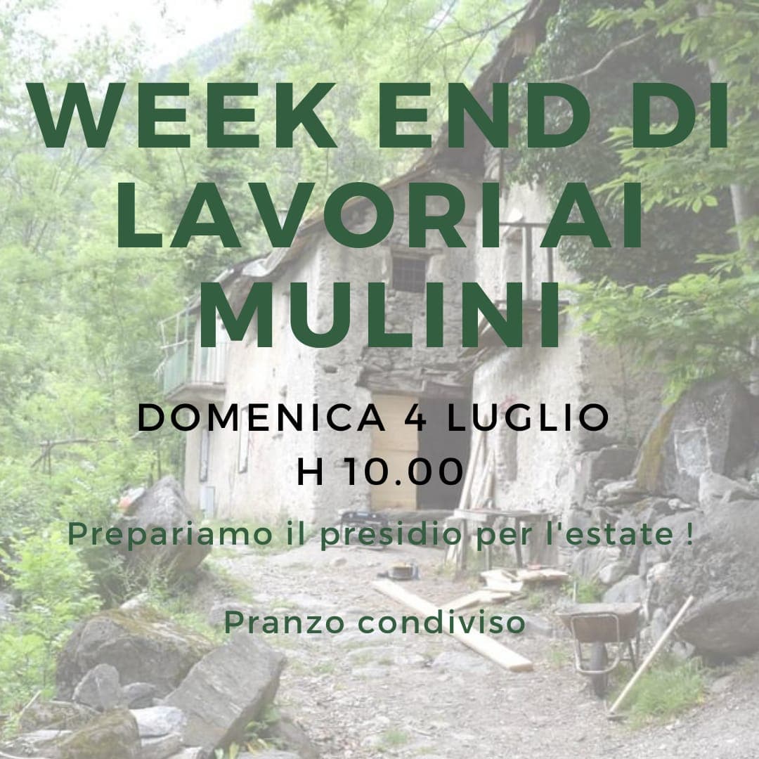 Immagine di copertina per il post