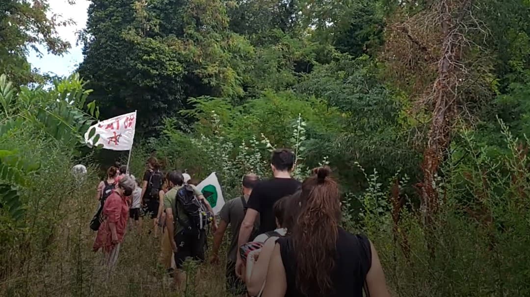 Immagine di copertina per il post
