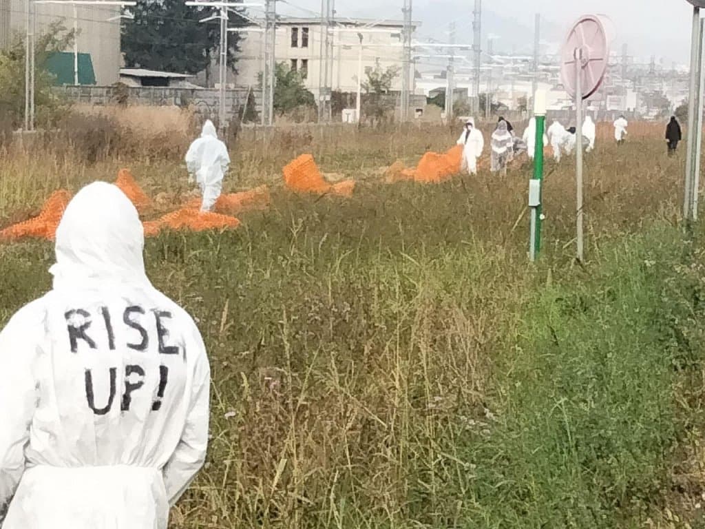 Immagine di copertina per il post