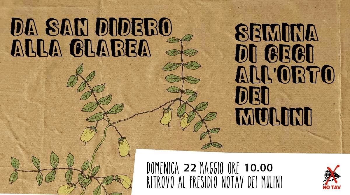 Immagine di copertina per il post