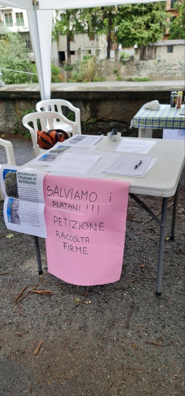 Immagine di copertina per il post