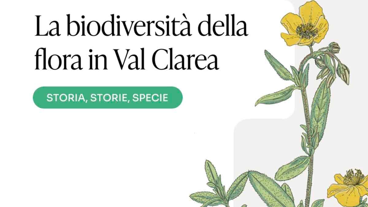 Immagine di copertina per il post