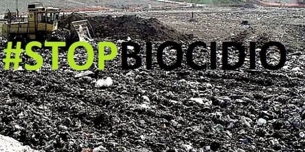 Immagine di copertina per il post