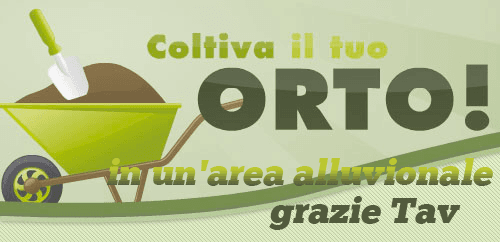 Immagine di copertina per il post