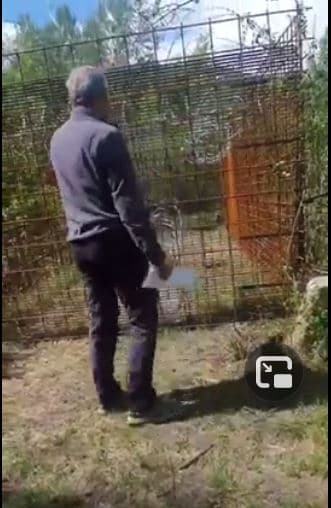 Immagine di copertina per il post