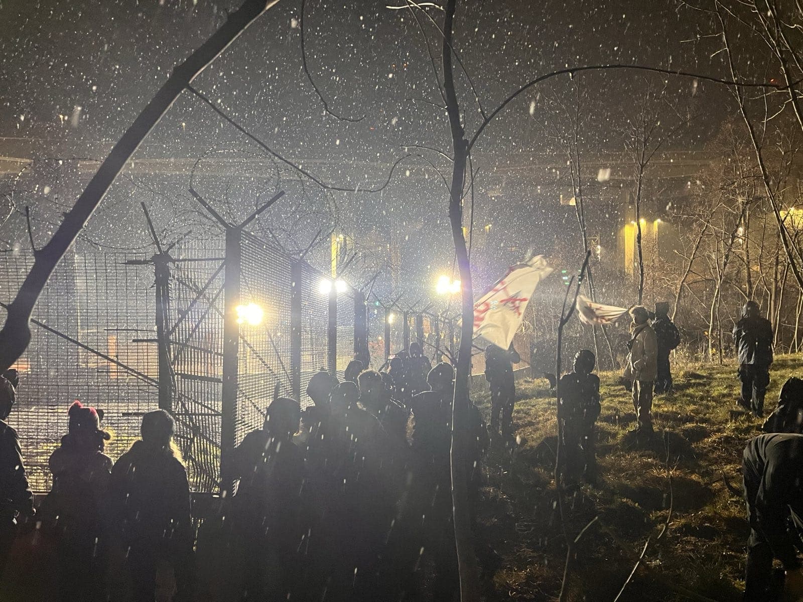 Immagine di copertina per il post