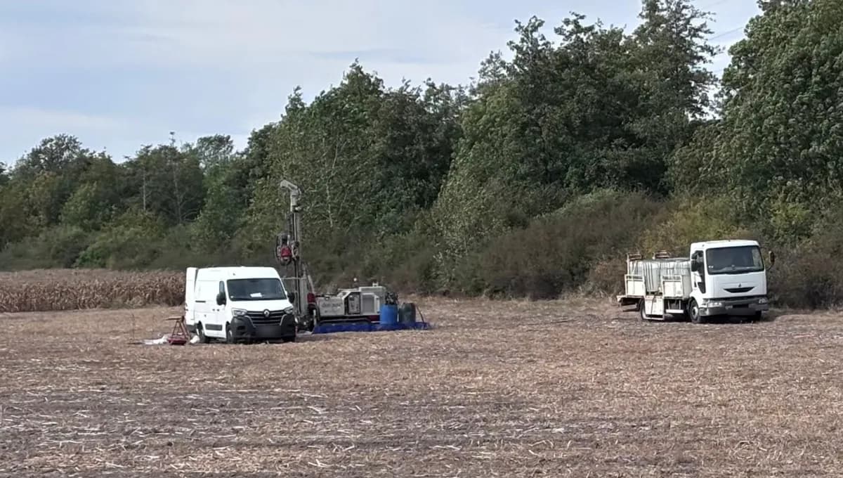 Immagine di copertina per il post