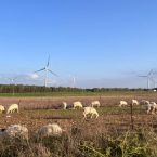 Approdo sui territori che combattono la speculazione energetica