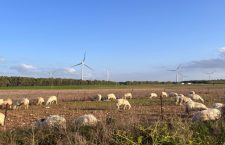 Approdo sui territori che combattono la speculazione energetica